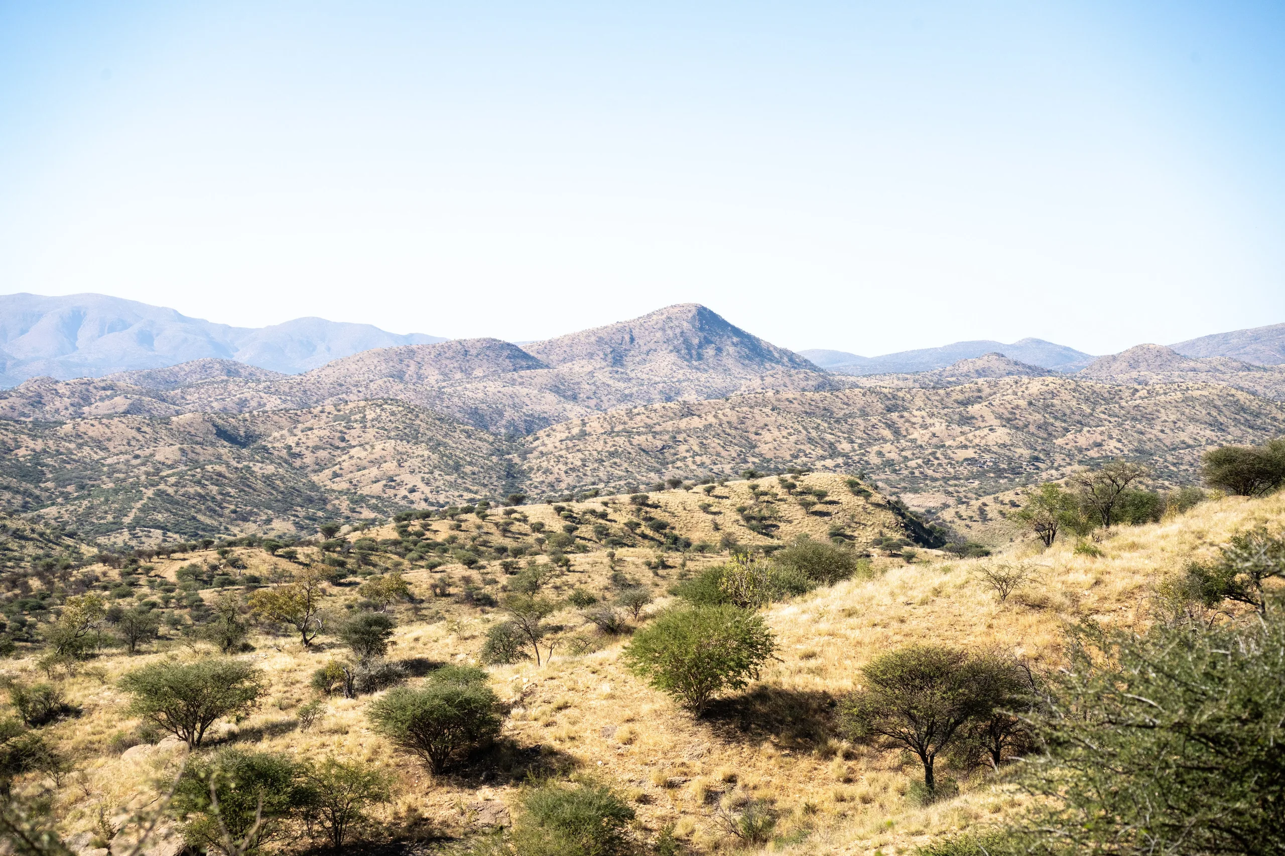 daan viljoen landscape