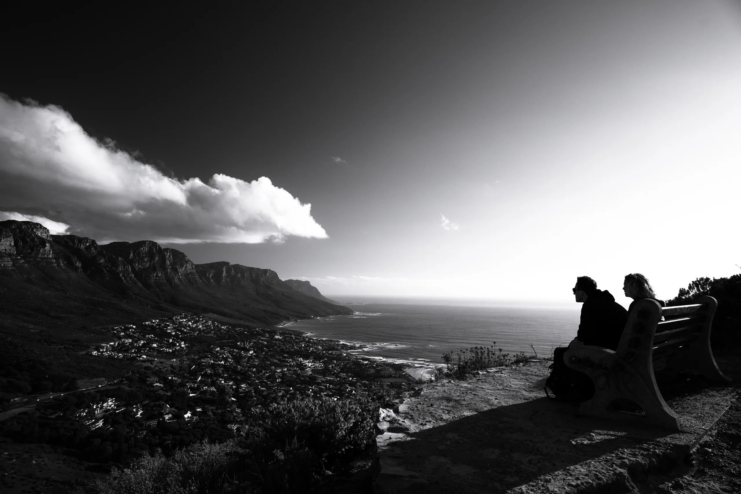 lions head view 1